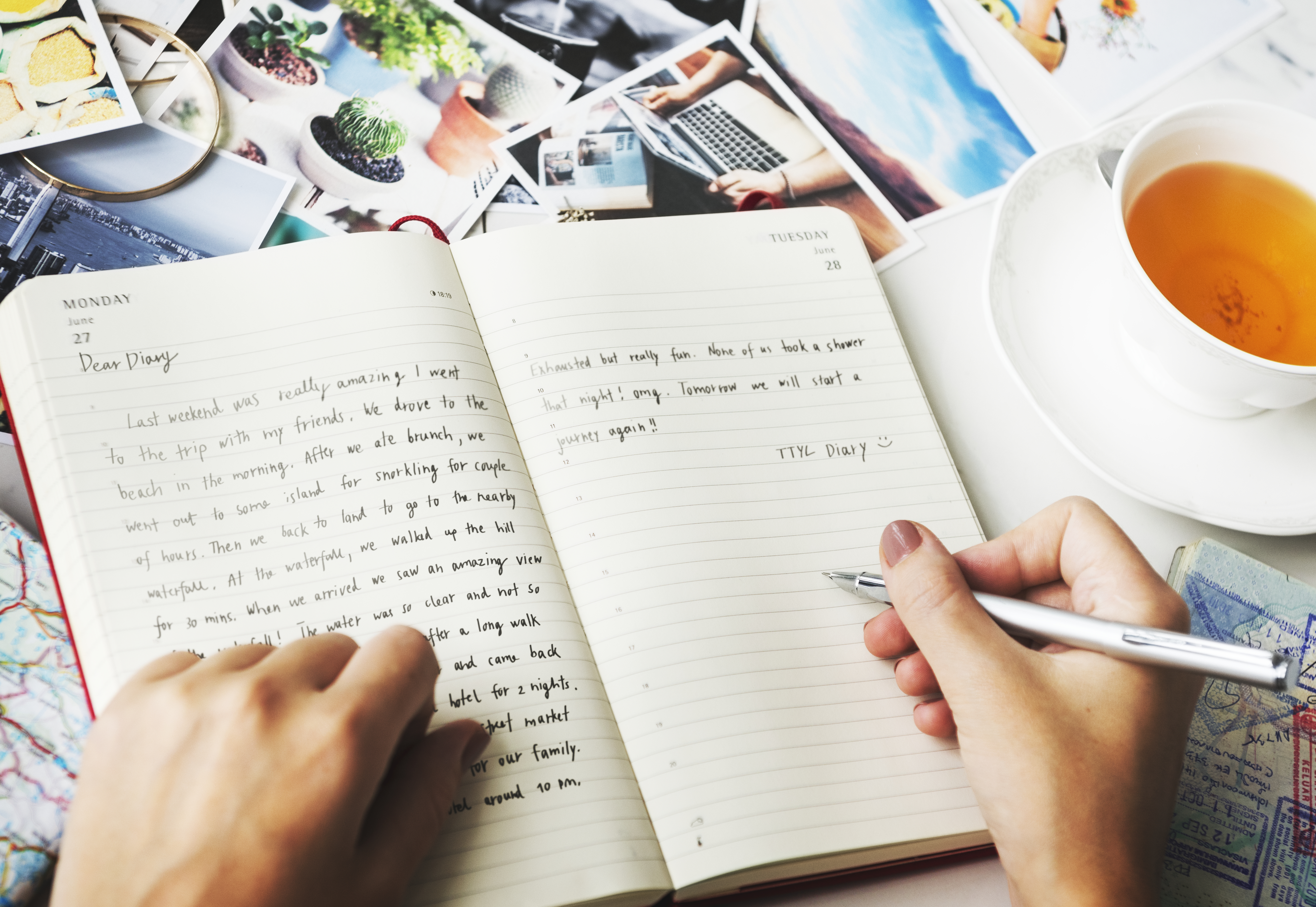 Journal Entries